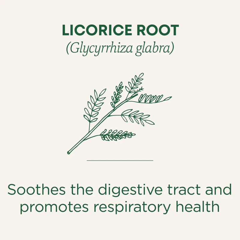Organic Licorice Root Tea | Traditional Medicinals® | 16 Tea Bags - Coal Harbour Pharmacy
