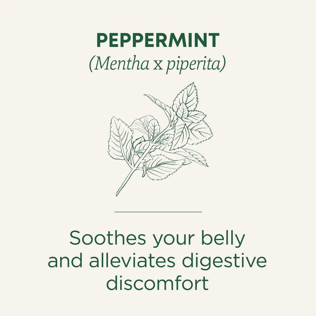 Organic Peppermint Tea | Traditional Medicinals® | 16 Tea Bags - Coal Harbour Pharmacy
