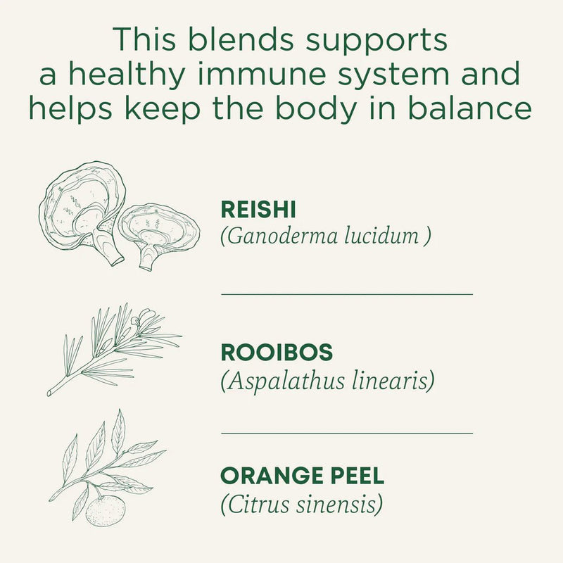 Organic Reishi Mushroom with Rooibos & Orange Peel Tea | Traditional Medicinals® | 16 Tea Bags - Coal Harbour Pharmacy