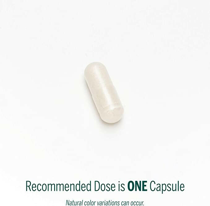 Pancreatin | Genestra Brands® | 60 Vegetarian Capsules - Coal Harbour Pharmacy