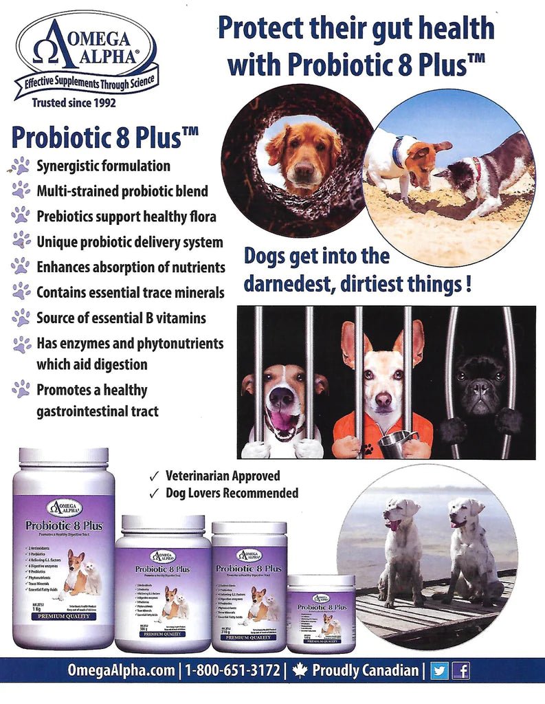 Probiotic 8 Plus™ | Omega Alpha® | 310g Powder - Coal Harbour Pharmacy