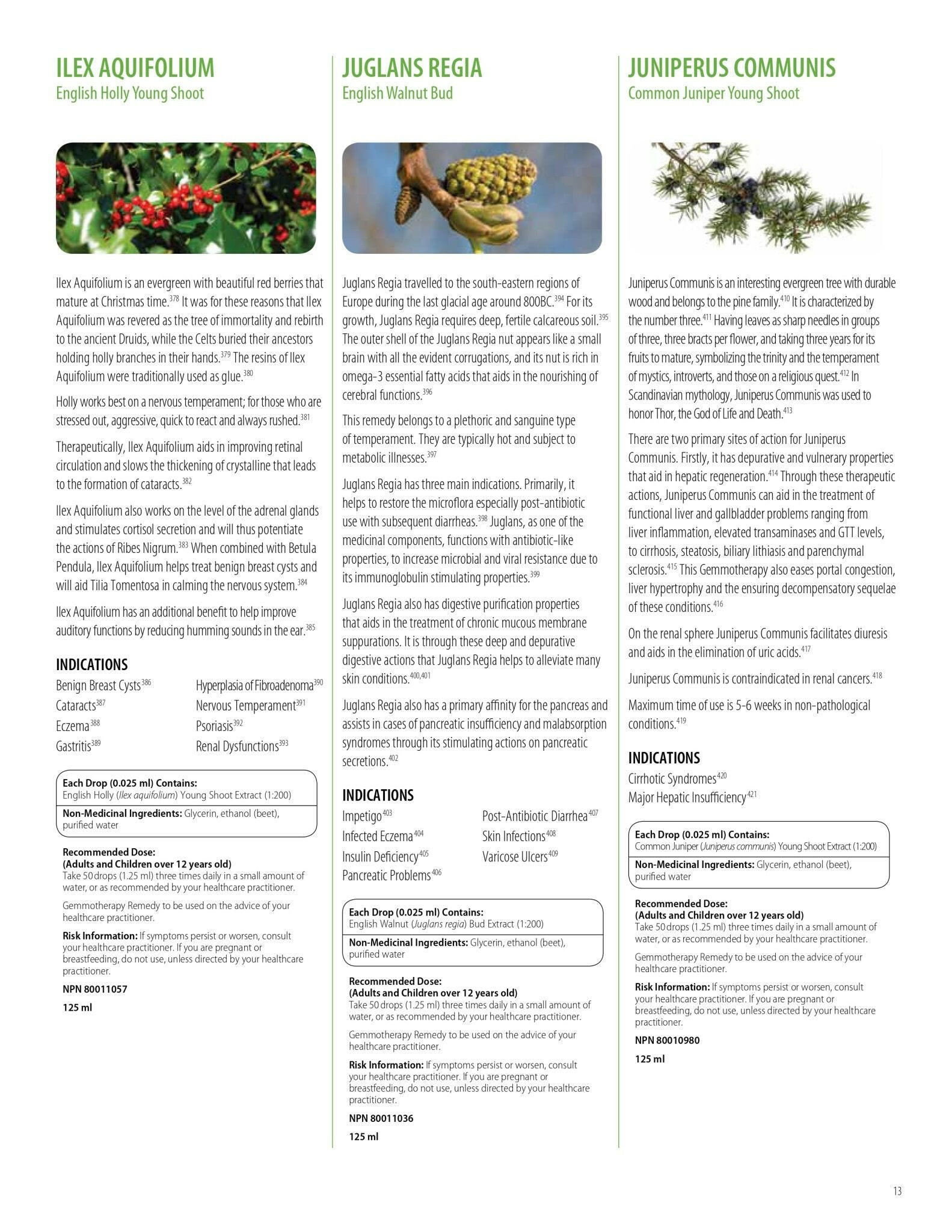 Rubus Idaeus | UNDA Gemmo | 125 mL (4.2 fl oz) Liquid - Coal Harbour Pharmacy