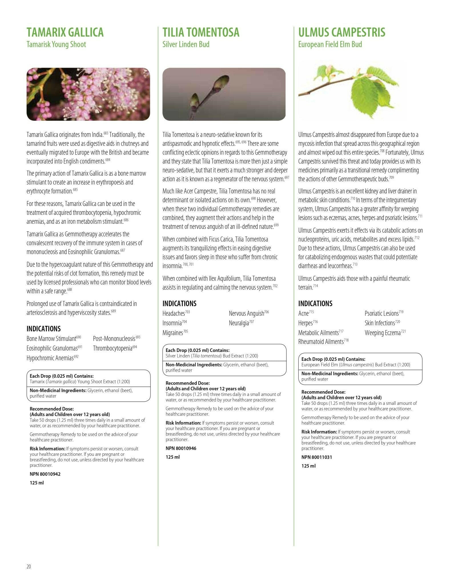 Rubus Idaeus | UNDA Gemmo | 125 mL (4.2 fl oz) Liquid - Coal Harbour Pharmacy