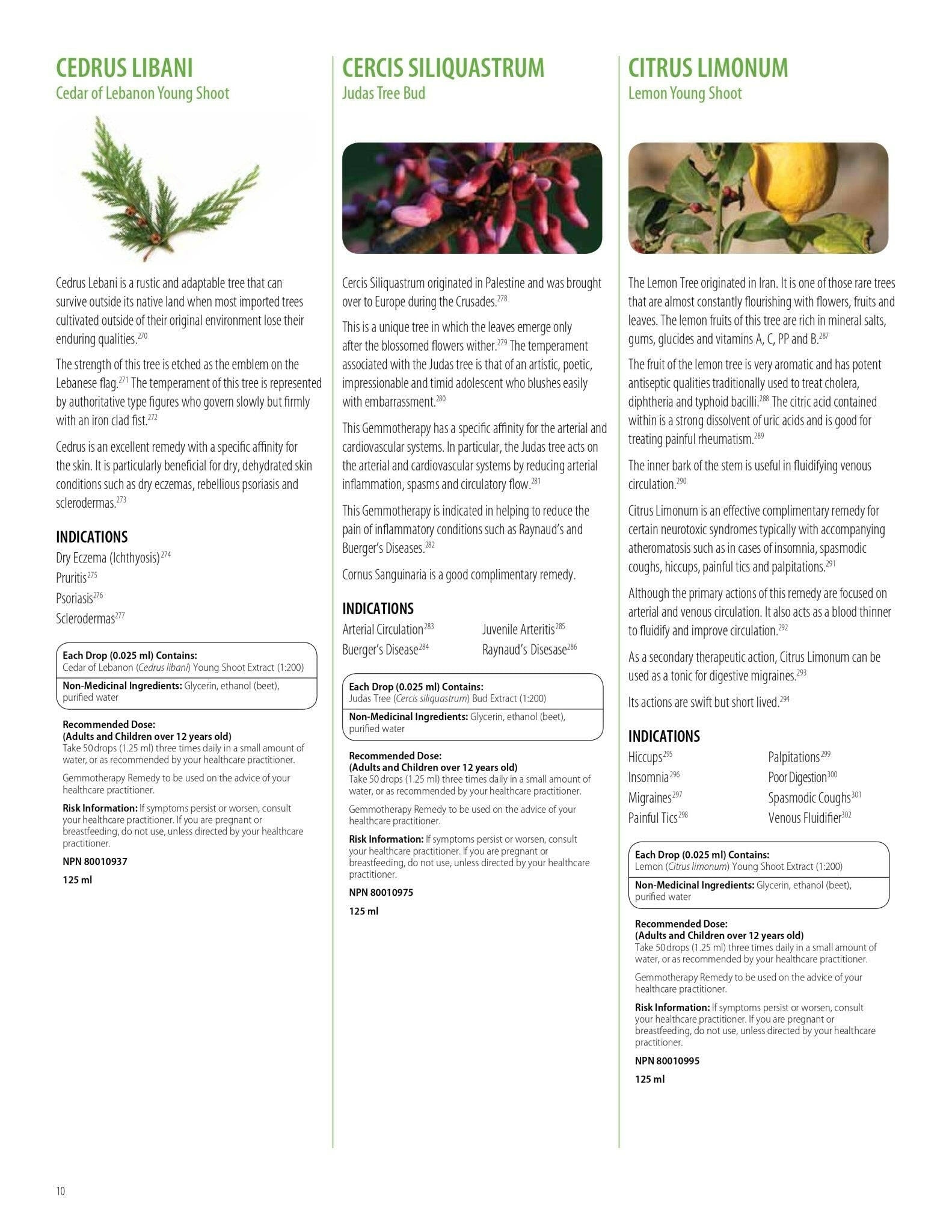Rubus Idaeus | UNDA Gemmo | 125 mL (4.2 fl oz) Liquid - Coal Harbour Pharmacy