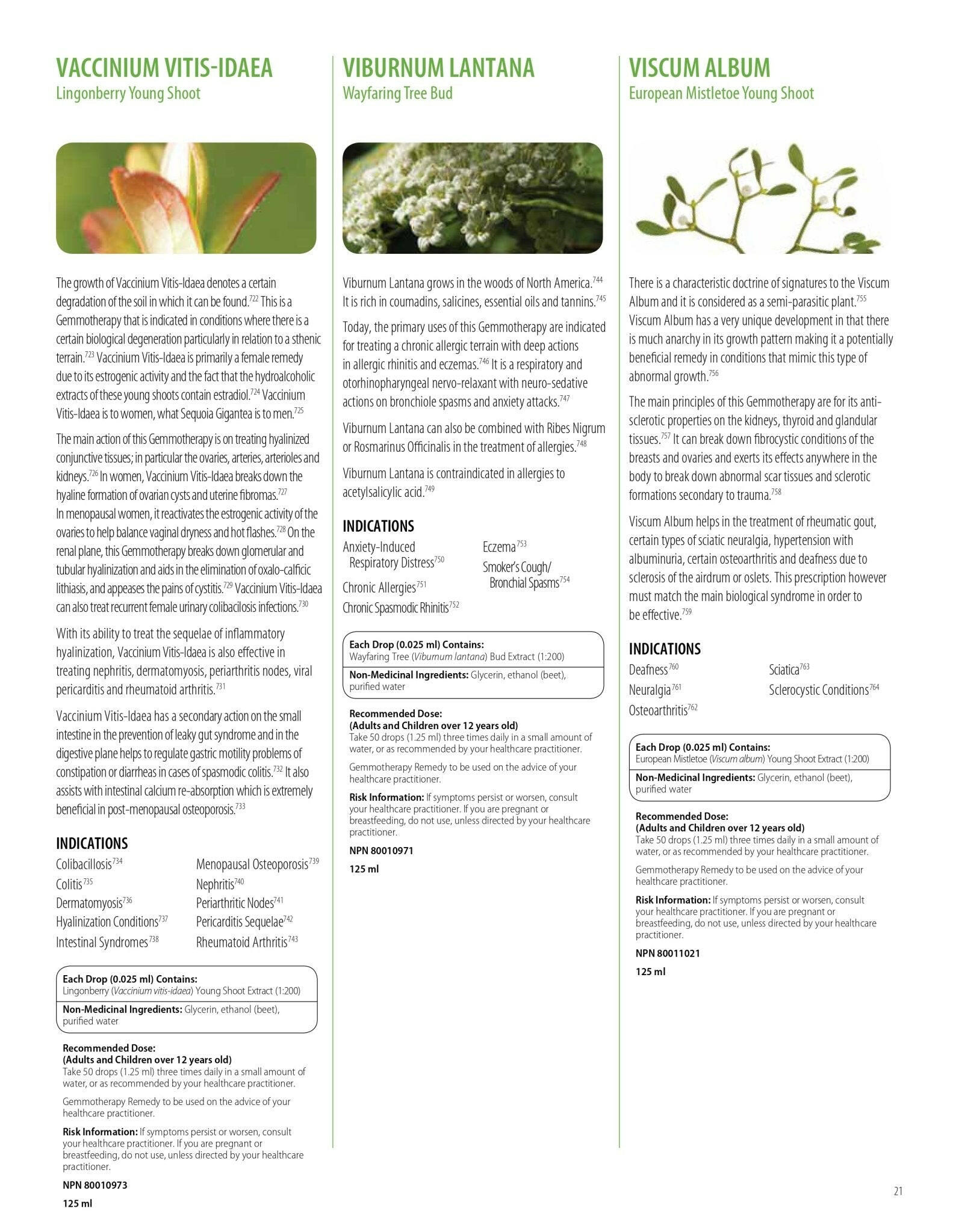 Rubus Idaeus | UNDA Gemmo | 125 mL (4.2 fl oz) Liquid - Coal Harbour Pharmacy