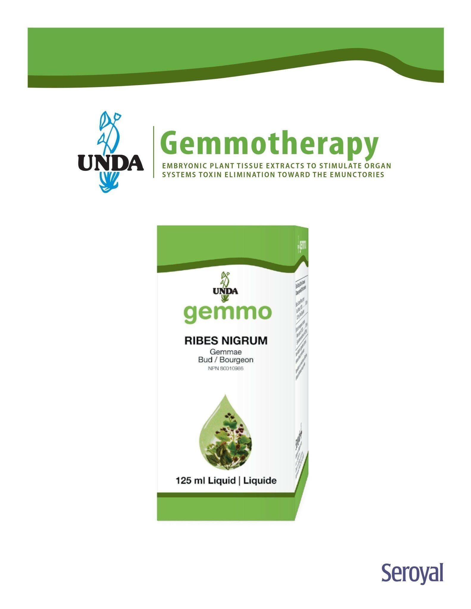Rubus Idaeus | UNDA Gemmo | 125 mL (4.2 fl oz) Liquid - Coal Harbour Pharmacy