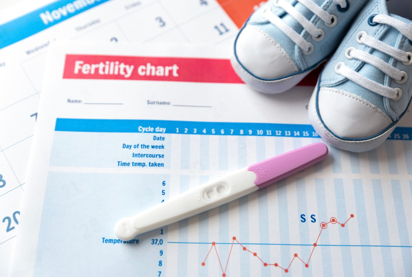 Fertility and Pregnancy Tests