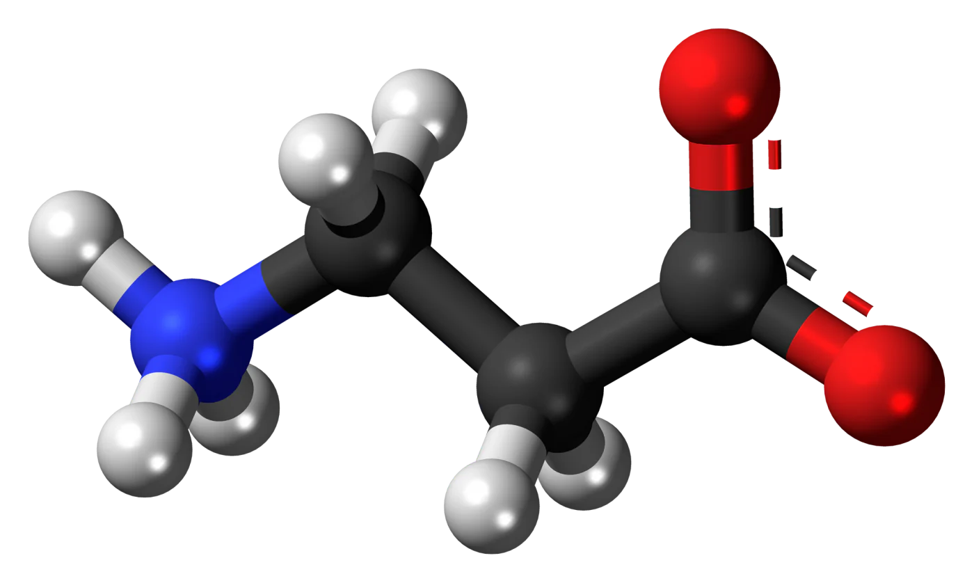 Beta-Alanine