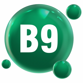 Vitamin B9 (Folate/Folic Acid)