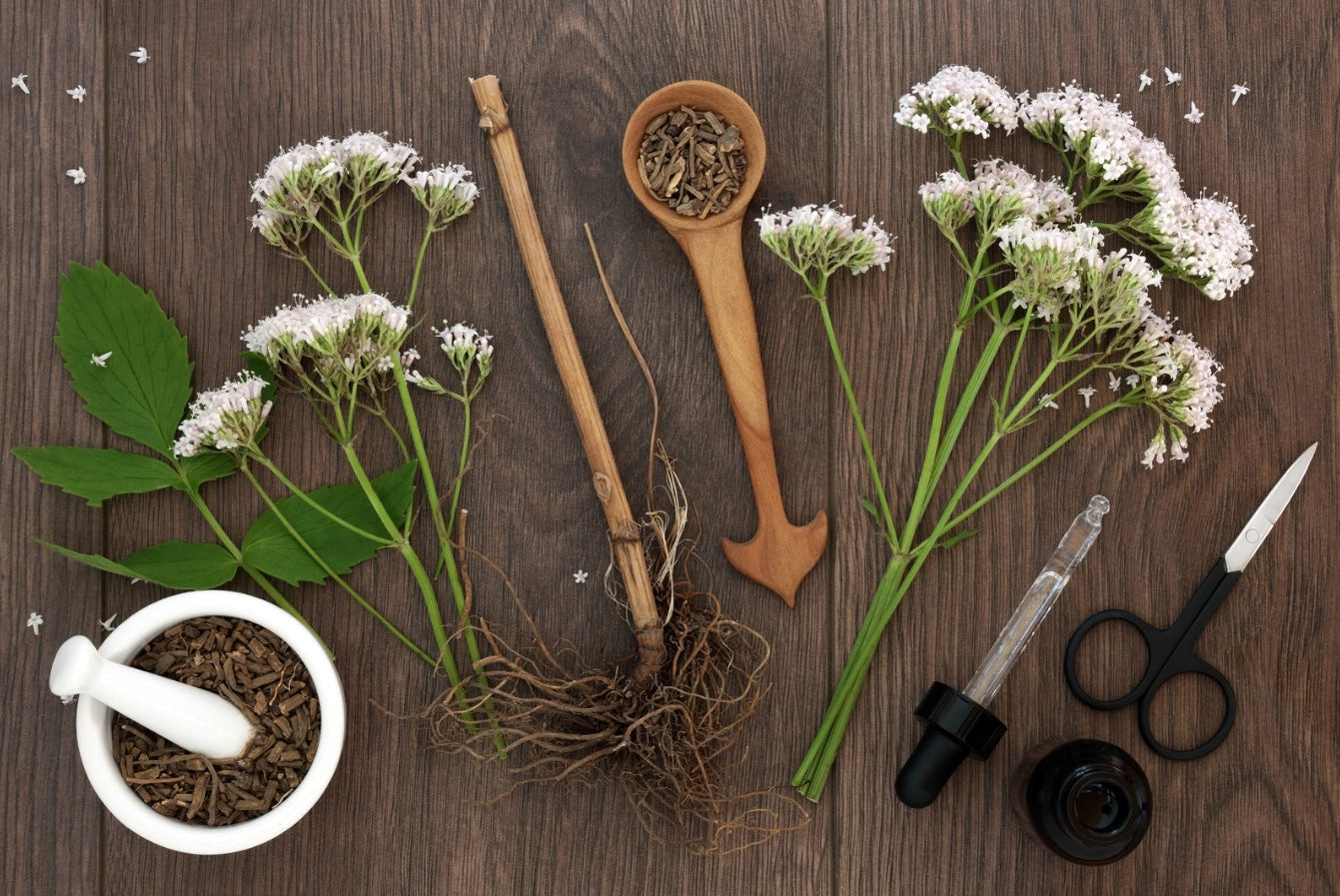 Valerian Root