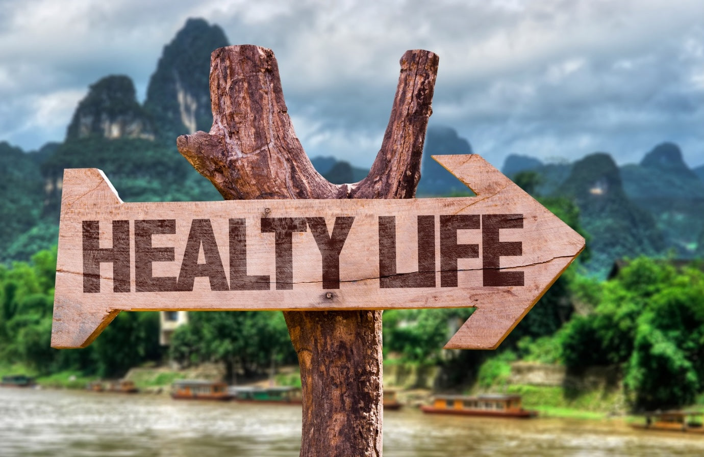 Everyday Health Essentials