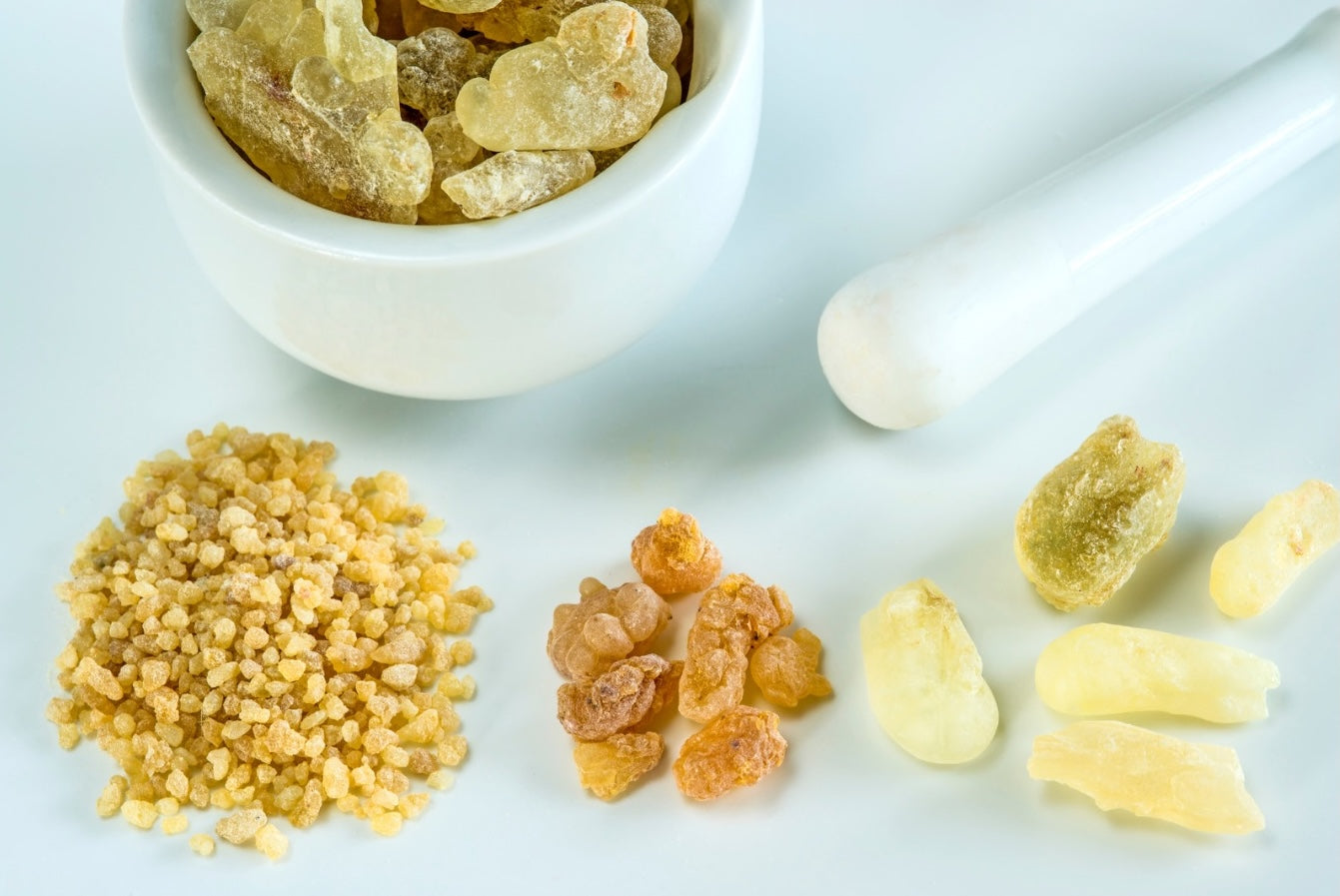 Boswellia