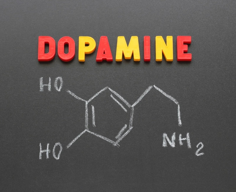 Dopamine Support
