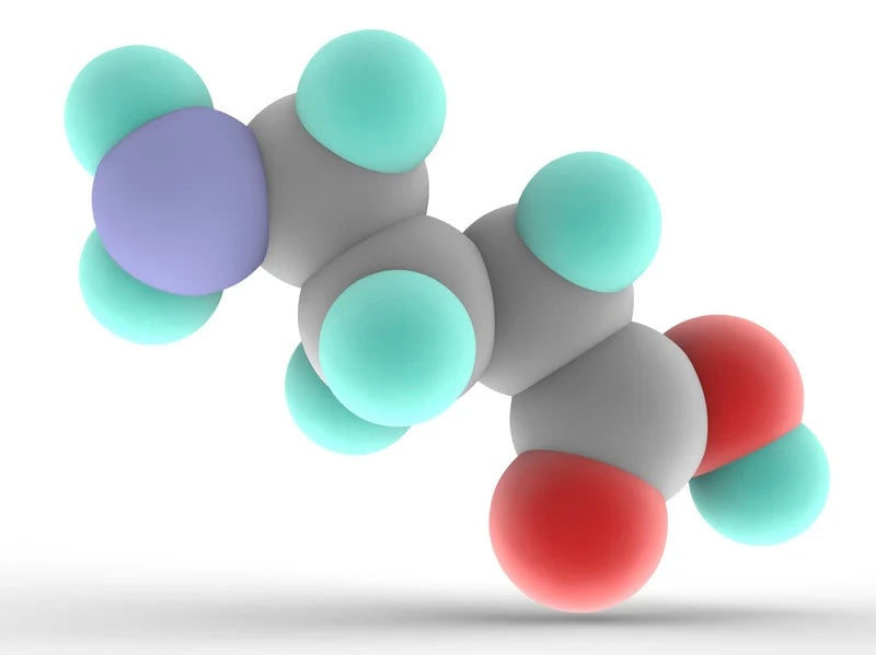 GABA (Gamma-Aminobutyric Acid)