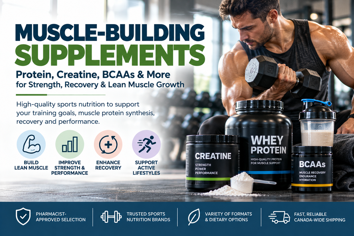 Muscle-Building Supplements – Protein, Creatine & Strength Support