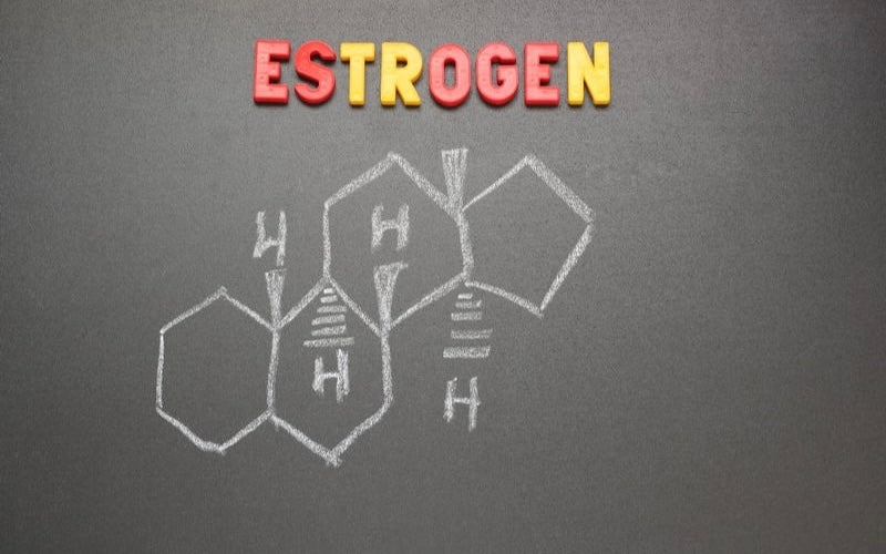 Estrogen Support