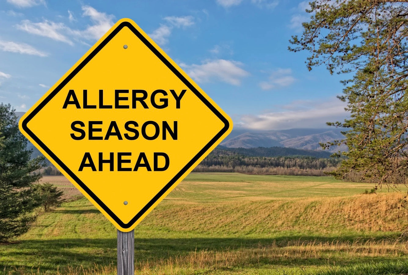 Allergy Medications