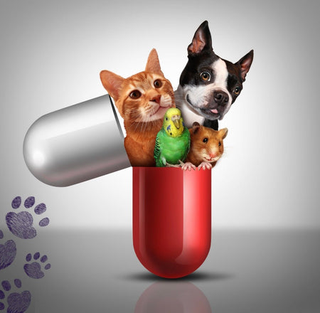 Pet Products - Coal Harbour Pharmacy