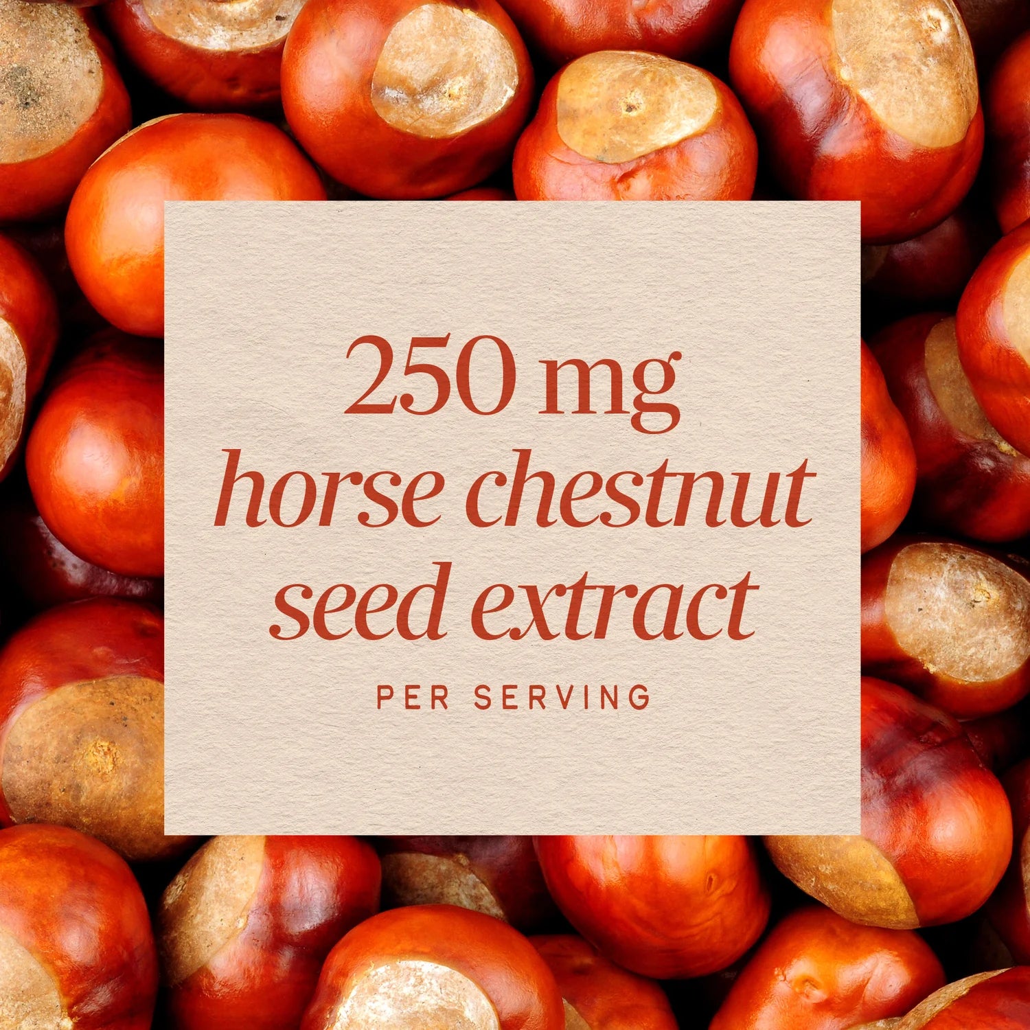 Horsechestnut | Nature’s Way® | 90 Veg Caps