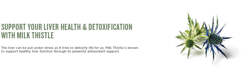 Milk Thistle Liquid Herb | Botanica | 50 mL