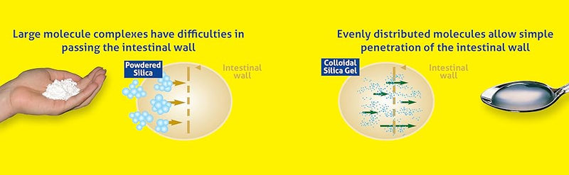 Original Silicea Colloidal Gel | Hübner | Various Sizes