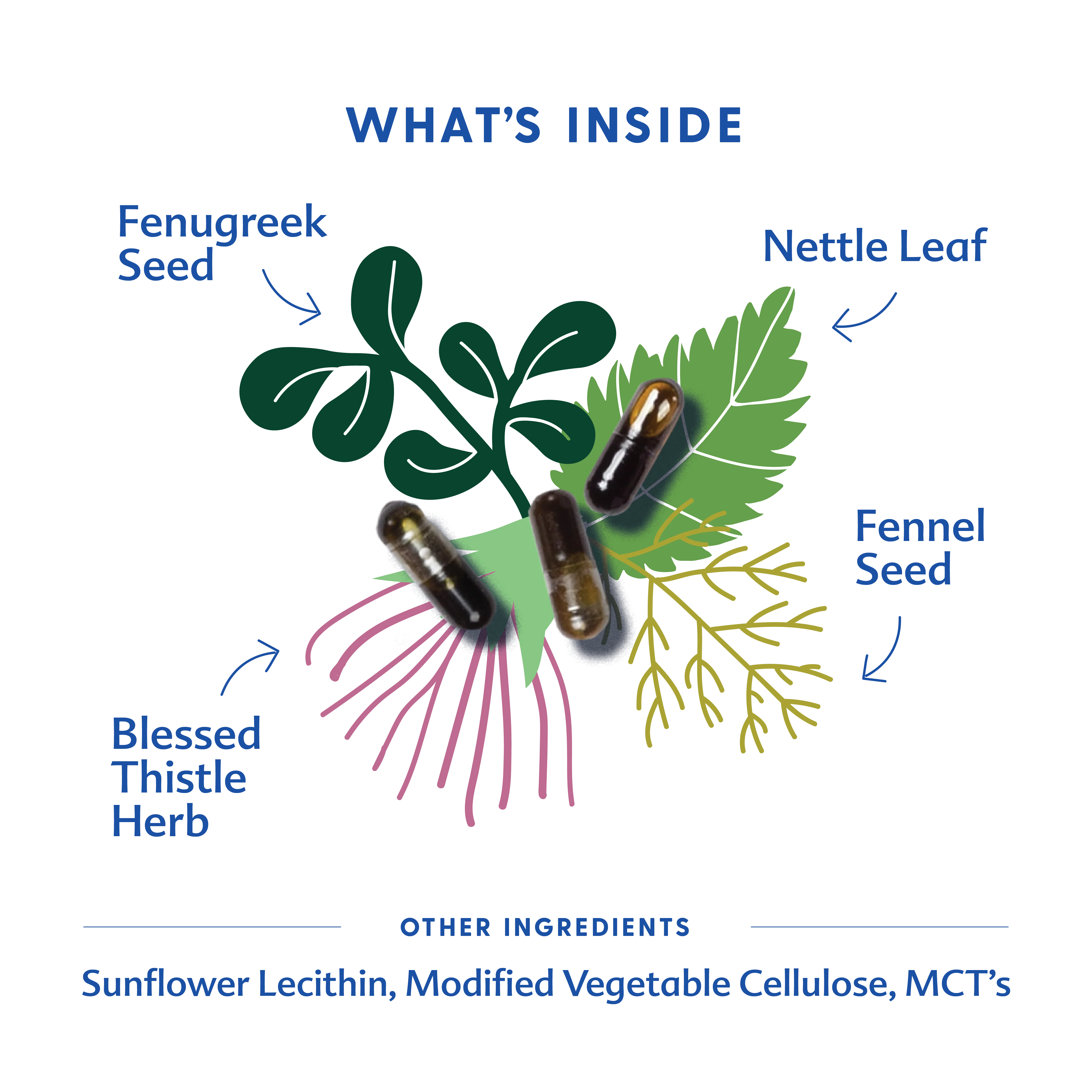 More Milk Plus® | Motherlove | Different Variants