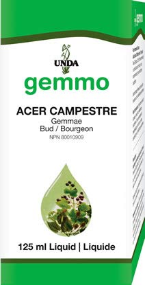 Acer campestre | UNDA Gemmo | 125 mL