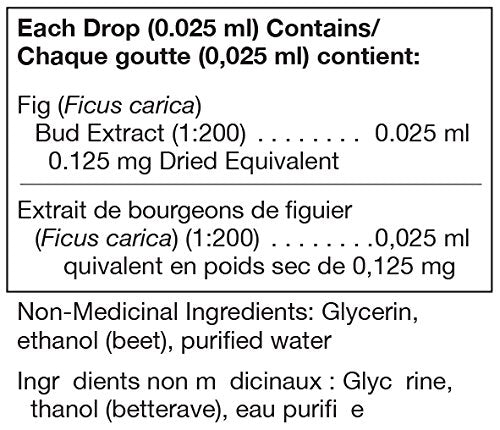 Ficus carica | UNDA Gemmo | 125 mL