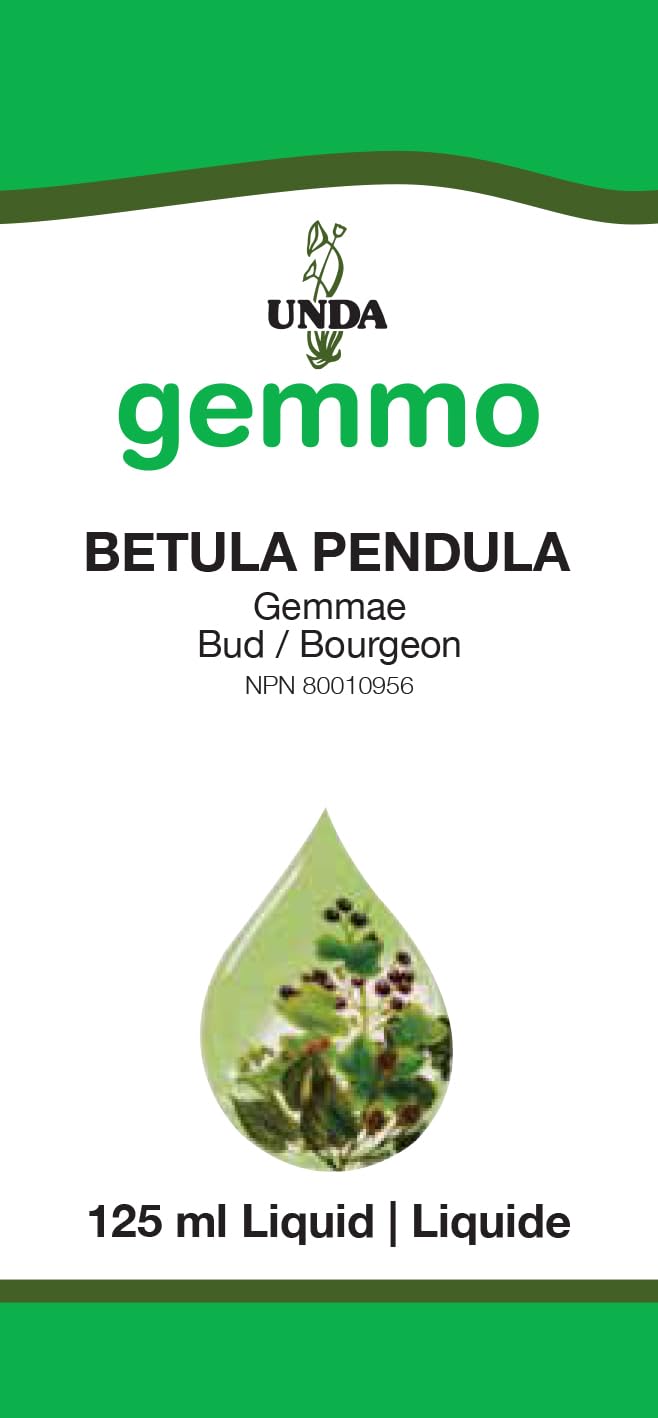 Betula pendula | UNDA Gemmo | 125 ml