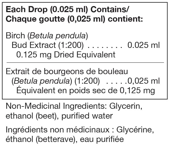 Betula pendula | UNDA Gemmo | 125 ml