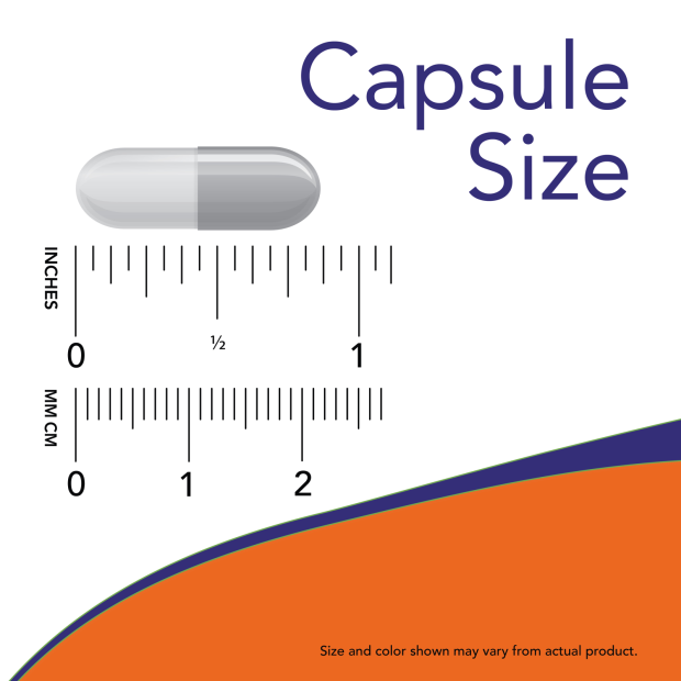 Psyllium Husk Caps 500 mg | NOW® | 200 OR 500 Veg Capsules