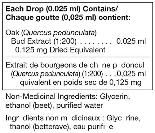 Quercus pedunculata | UNDA Gemmo | 125 mL