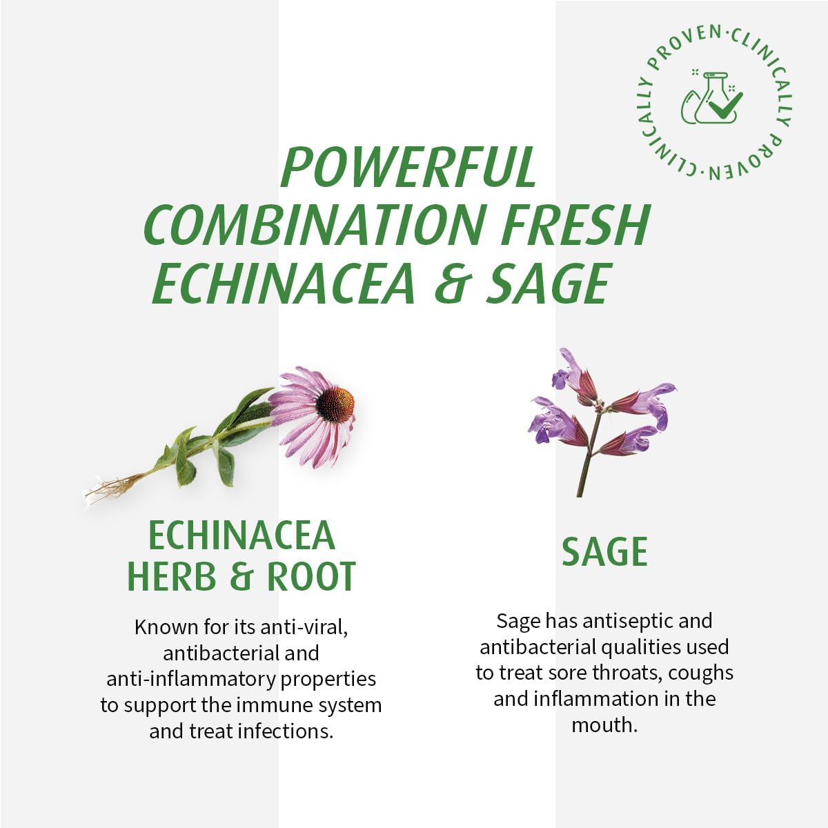 Echinaforce® Sore Throat Spray | A.Vogel | 30 mL