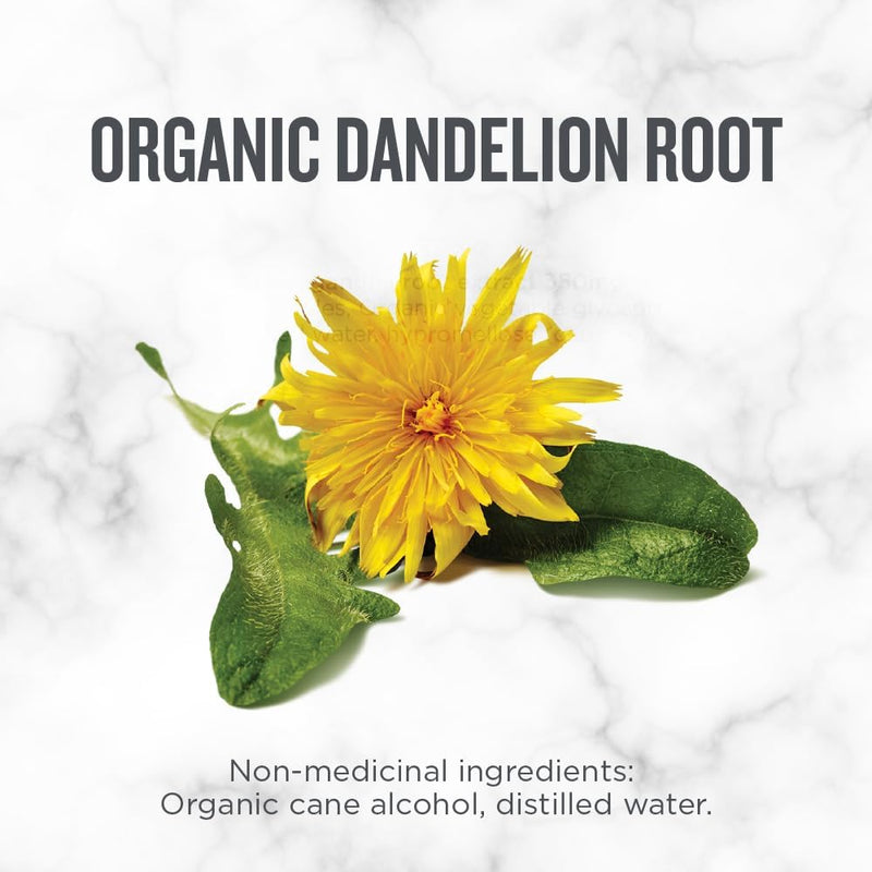 Dandelion Root Liquid Herb | Botanica | 50 mL