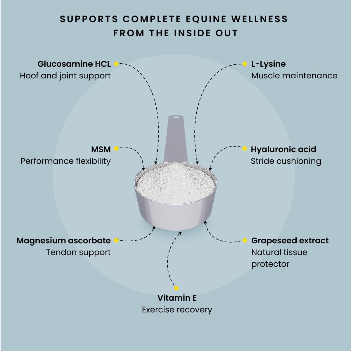 Equine Recovery Extra Strength | Purica®| Powder