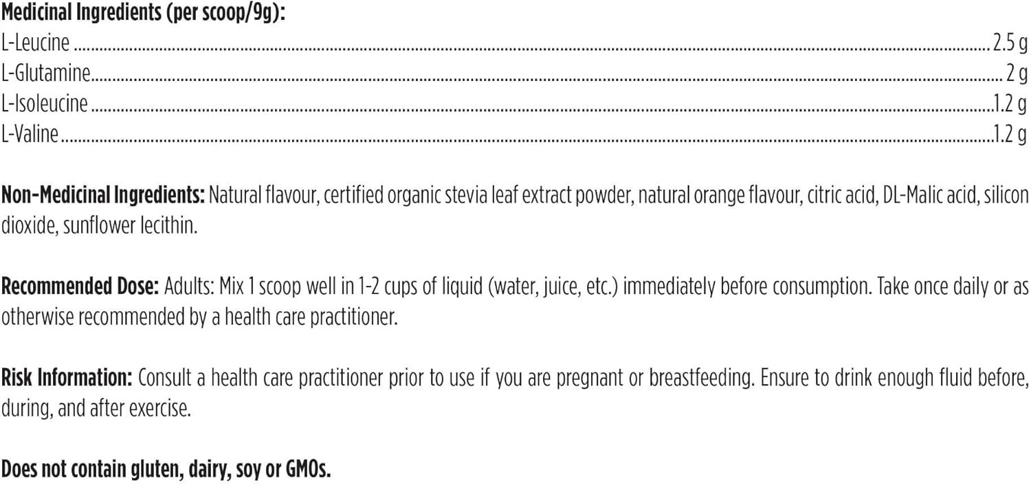 BCAA Powder with L-Glutamine by Designs for Health – Muscle & Workout Support | 270 g Powder