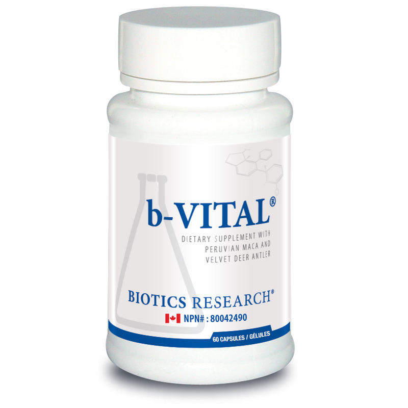 b-Vital (Augments Testosterone) | Biotics Research® | 60 Capsules