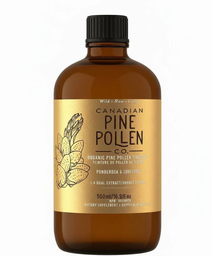 Wild Organic Pine Pollen Tincture by Canadian Pine Pollen® – Qi & Hormonal Vitality Support | 100 or 500 mL