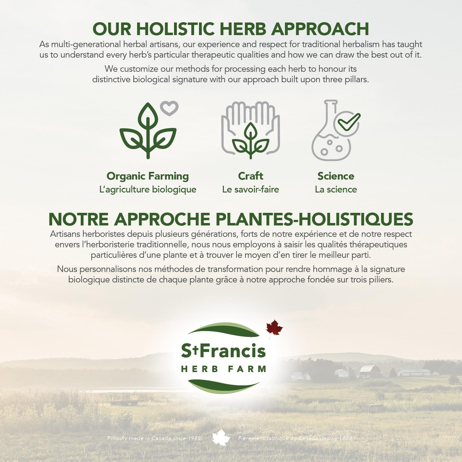 Ear Oil | St. Francis Herb Farm | 30 mL