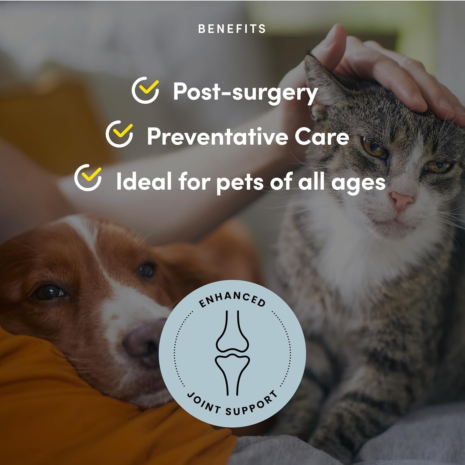 Pet Recovery Extra Strength | Purica® | Various Sizes