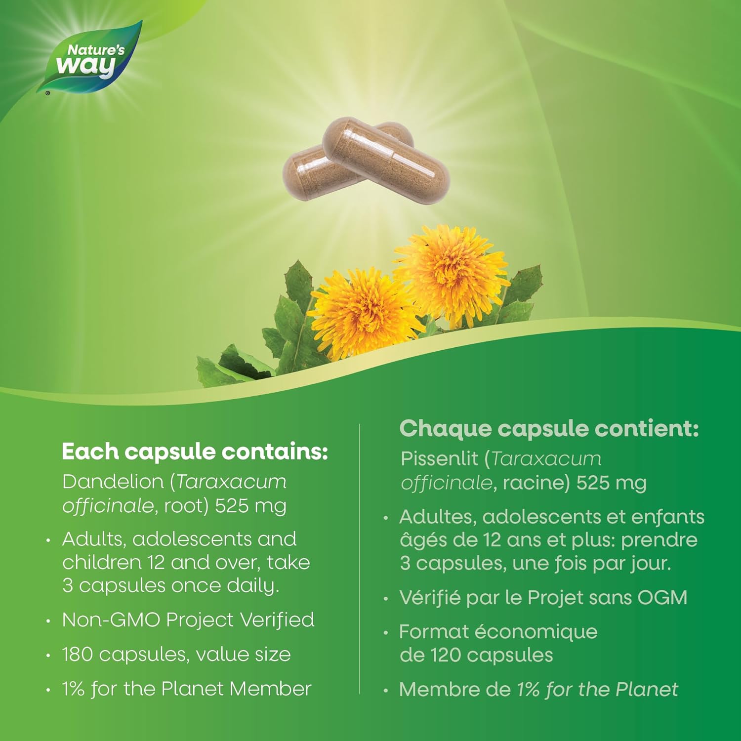 Dandelion Root | Nature's Way® | 100 or 180 Capsules