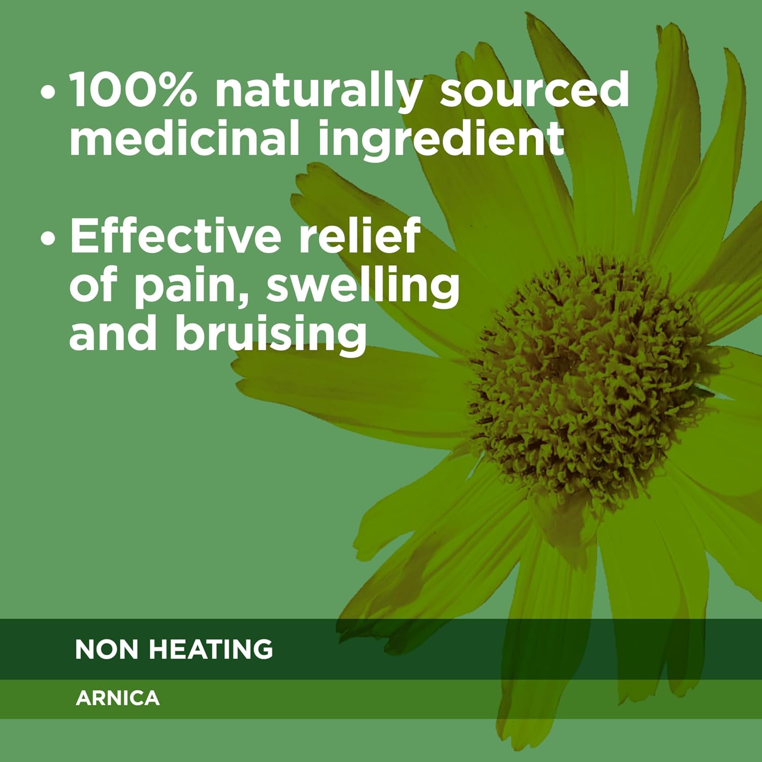 Natural Source Arnica Cream | RUB•A535 | 65 g