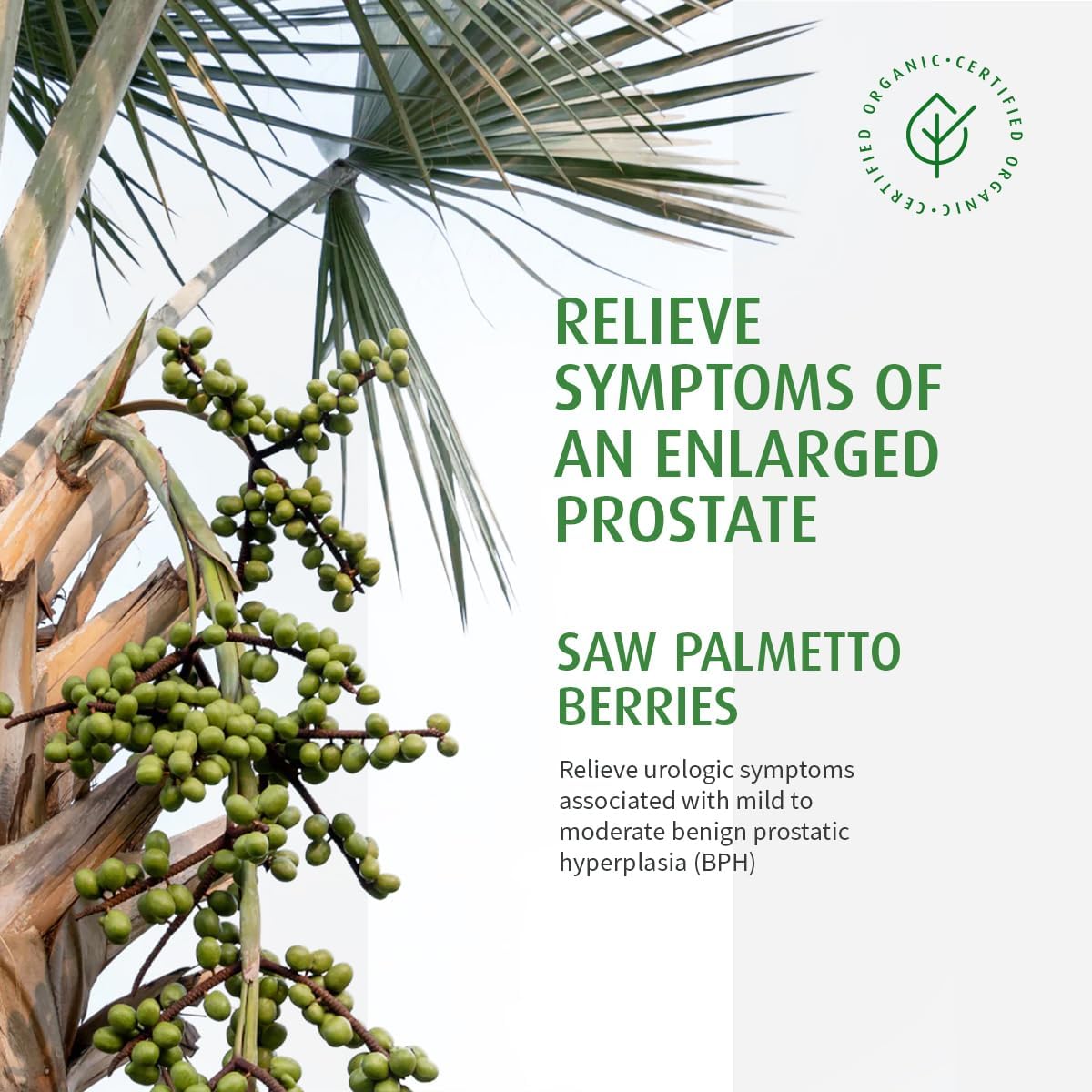Prostate 1  | A. Vogel | 30 Capsules