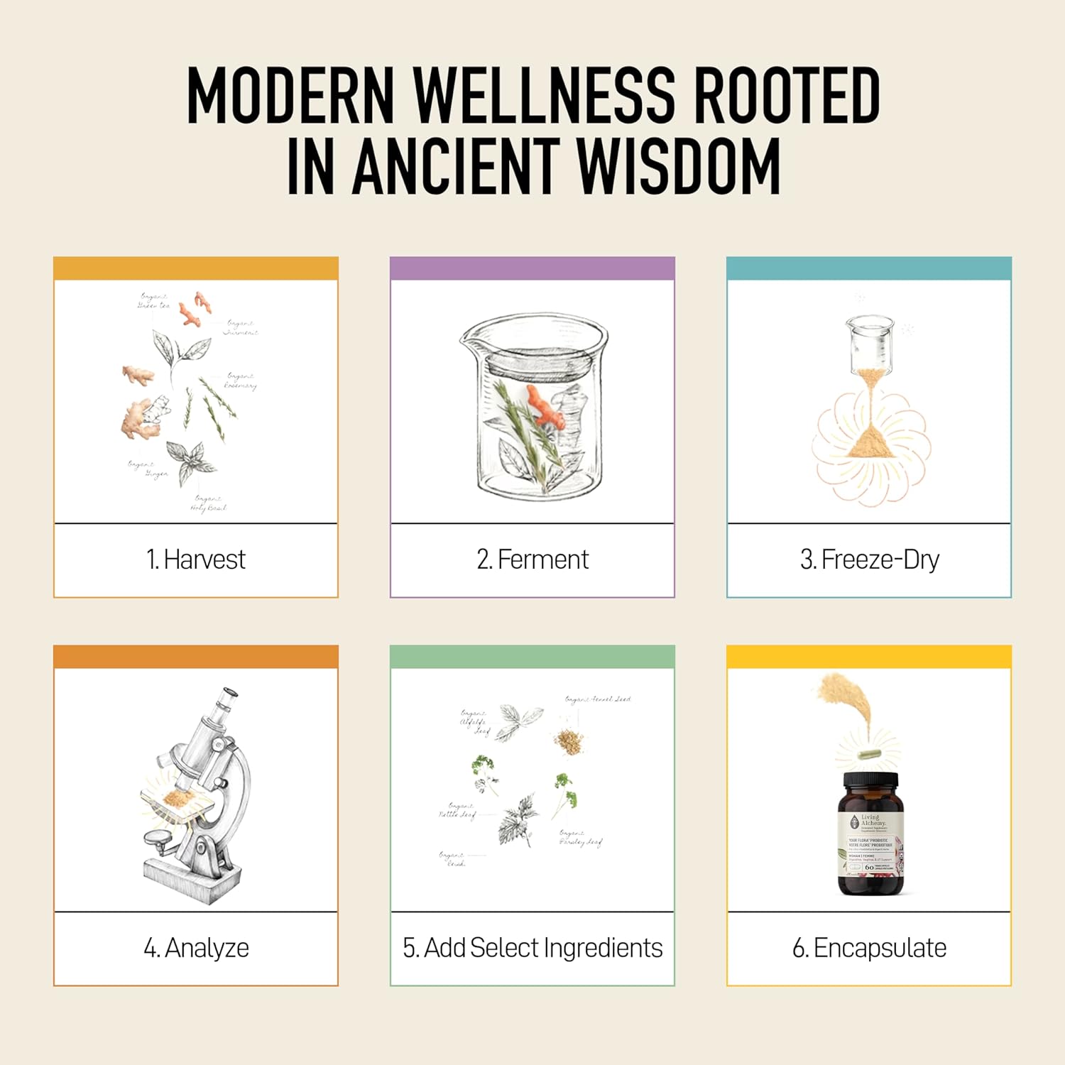 Your Flora® Probiotic Woman | Living Alchemy® | 60 Vegan Capsules