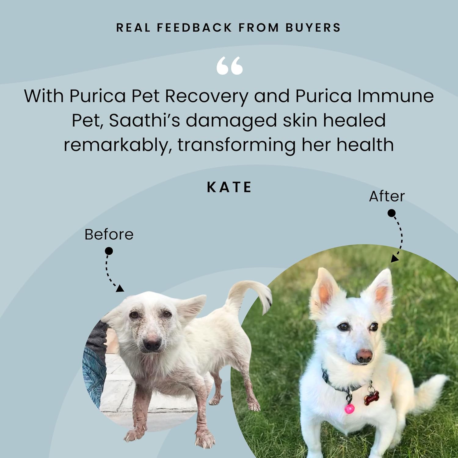 Pet Recovery Extra Strength | Purica® | Various Sizes