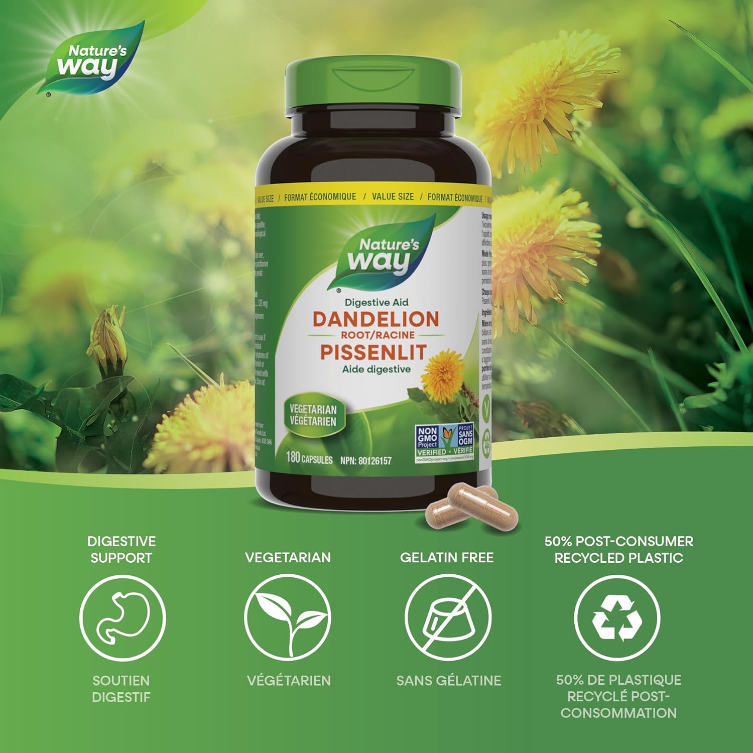 Dandelion Root | Nature's Way® | 100 or 180 Capsules