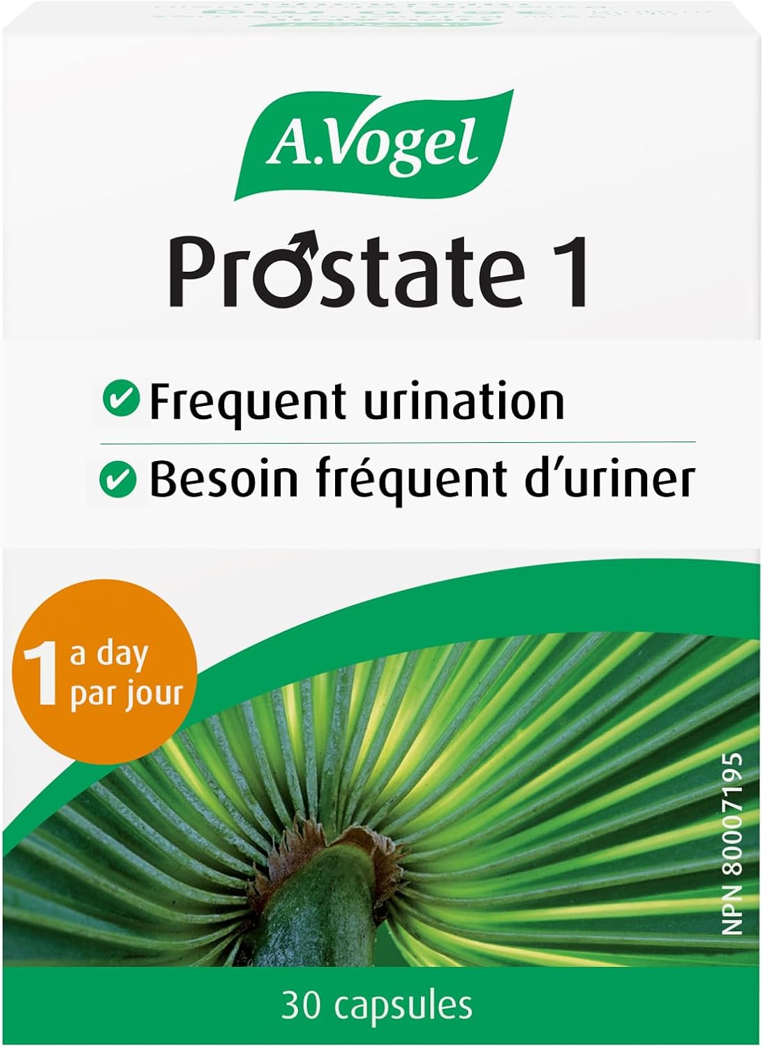 Prostate 1  | A. Vogel | 30 Capsules