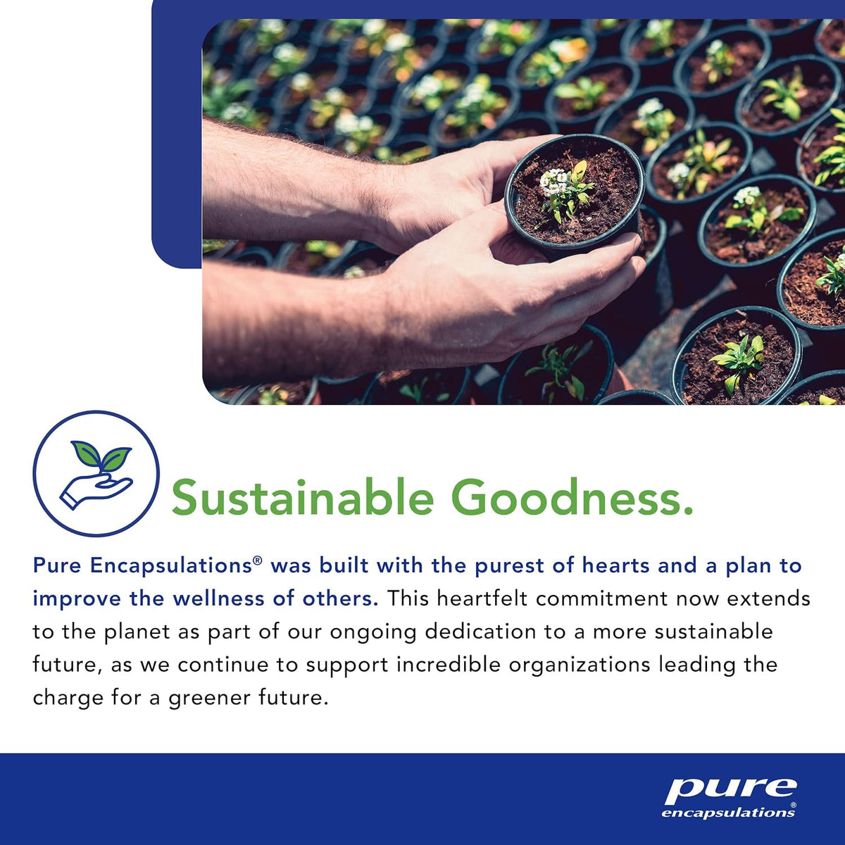 EPA/DHA essentials | Pure Encapsulations® | 180 Softgel