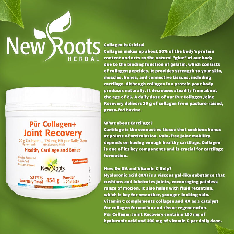 Pur Collagen+ Joint Recovery | New Roots HERBAL® | 454 g Powder