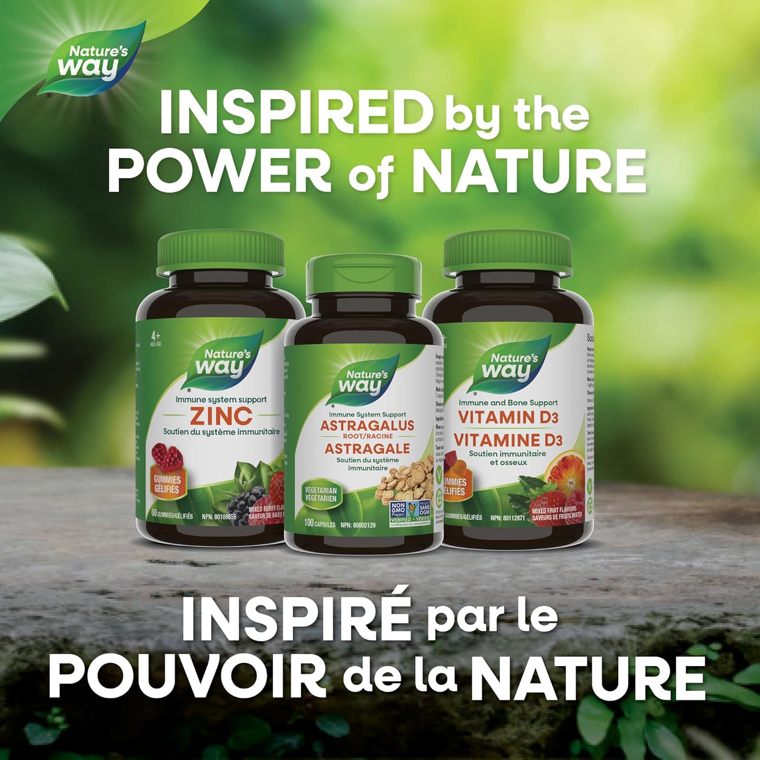 Astragalus Root | Nature's Way Canada | 100 OR 180 Veg Capsules